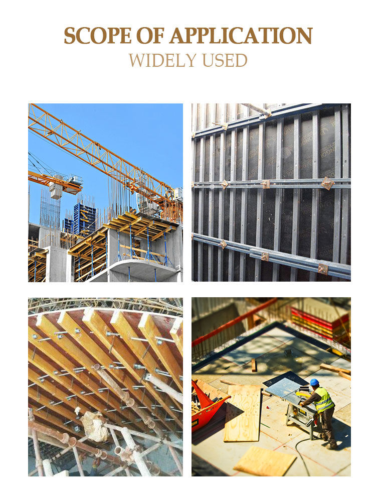Construction formwork systems used across commercial building sites and concrete projects