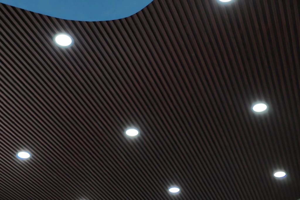 Modern slatted ceiling with dark wood panels, recessed lights, and curved skylight